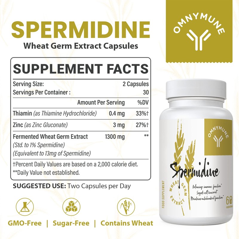Fermented Wheat Germ Extract - 13 mg spermidine per Capsule