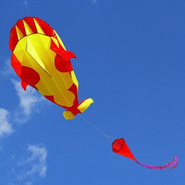LIXADA Kite, 3D Killer Whale, Sky Kite, Lightweight and Durable, Outdoor Activities, Beach, Park, Children's Toys, Gift