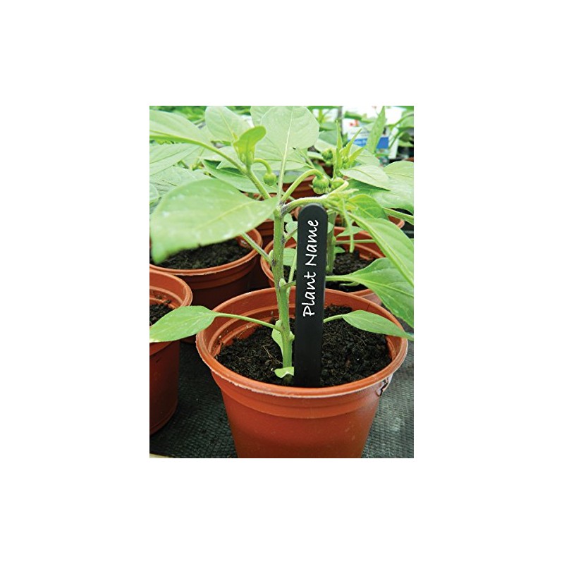 W0875 Garland 10cm (4") Plant Labels (50) (Black)