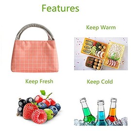 Dubens Lightweight Cooler Bag Lunch Bag Insulated Bag Kids and Adults Lunch Thermal Bag Picnic Bags for Work School Picnic, 22.5 x 15 x 15 cm, 5.5 L (Pink)