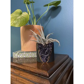 Unbranded planter pots for succulents