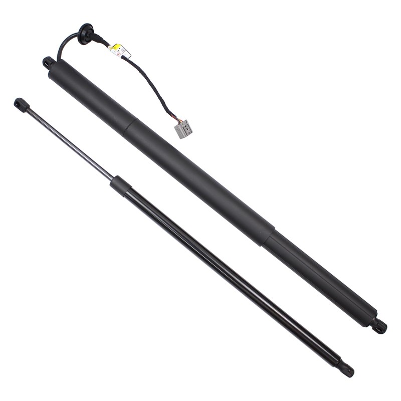 Roneeson 2Pcs Rear Left and Right Tailgate Lift Support for