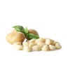 Sanniti Potato Gnocchi, 1.1 lbs (Pack of 4)