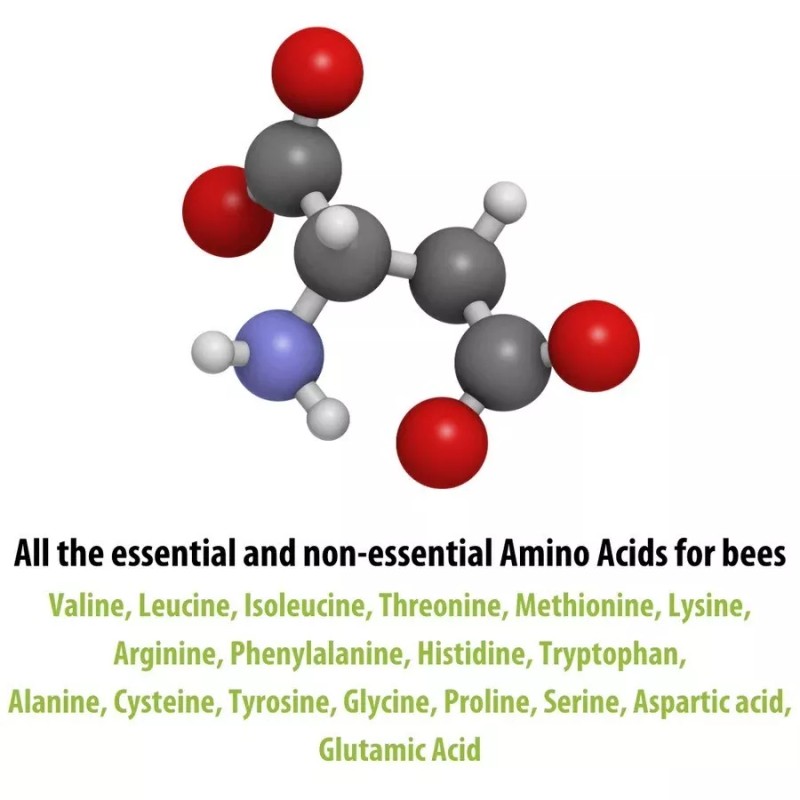Hive Alive Fondant Bee Food Supplement - With Vitamins &