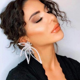 Rhinestones Huge Butterfly Wings Stud Earrings for Women Sparkle Butterfly Drop Dangle Earrings Boho Silver Butterfly Earrings Crystal Statement Earrings for Women Girls silver B