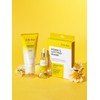 Vegan Pore Lifting Roller Cream 150ml / 비건 모공 리프팅