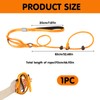 Slip Lead for Dogs Leash Explosion-Proof Strong Adjustable Collar Thin