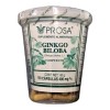 Ginkgo Biloba Prosa Suplemento Herbal Vegano Cápsulas Bienestar