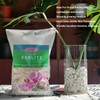 Natural 1-2CM Hard Chunky Perlite 10QT for Plants Horticultural Coarse