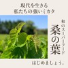 わくわく園 みどりの桑茶 ティーバック (60包) 桑の葉茶 国産 無農薬 粉末 パウダー 桑