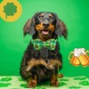 Lionheart glory St.Patrick's Day Dog Collar-Lucky Clover Shamrock Dog Bow