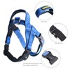 iChoue Dog Harness and Leash Set Easy On and Off
