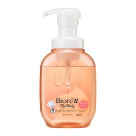 Bioreu The Body Foam Type Moisture Smooth Pump, 19.4 fl oz (540 ml)
