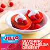 Jell-O Raspberry Sugar-Free Gelatin Mix (0.3 oz Boxes, Pack of