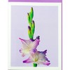 Sunshine Expressions Blooming Flowers – Purple Gladiolus – High End