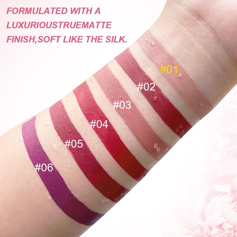 evpct 1Pcs Wine Red Matte Liquid Lipstick Lip Stain Sets