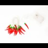 Elegani Chili Pepper String Lights – 10 Warm White LED