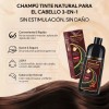 Kaisasa® Shampoo Con Tinte Cubre Canas Con Aceite De Argán