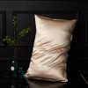 FLCA 100% Mulberry Silk 19 Momme Charmeuse Silk Pillowcase Both