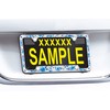 Floral License Plate Frame with Beautiful Crystals.