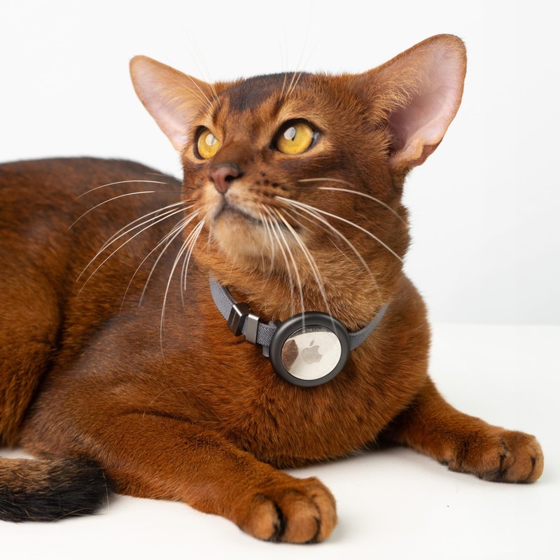 BuddyArmor Safety Cat Collar Pro Airtag Holder Set, US IDA