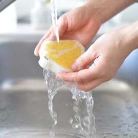 eComfort house cellulose sponge katakata kamome