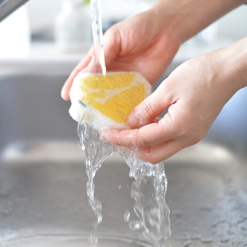 eComfort house cellulose sponge katakata kamome