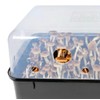 'Boomr Bin' Mushroom Monotub & Fruiting Chamber | Grow Your