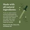 Vine Homecare Lizard Control Spray - 32 Fl Oz Natural