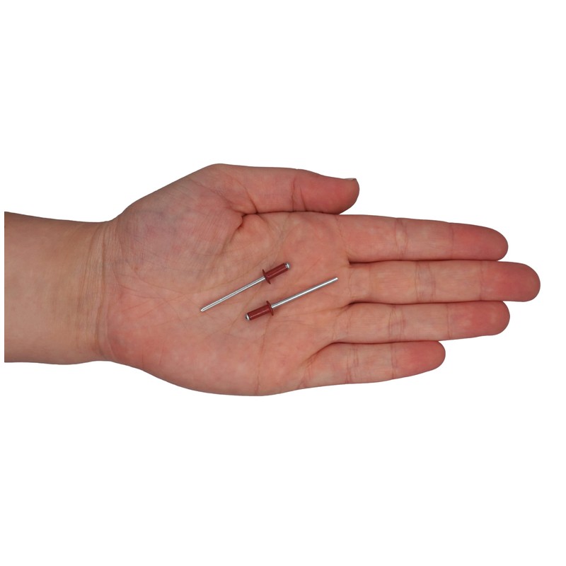 Pack of 50 Painted Blind Rivets 3.2 x 8 mm,