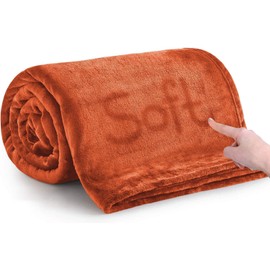 IR Imperial Rooms Fleece Blanket - Super Soft Fluffy Throw Blanket for Sofa and Bed - Warm and Cozy Lightweight 400 GSM Microfiber Bed Throws Blankets, 50 x 60 Inches (Throw/Travel, Rust)