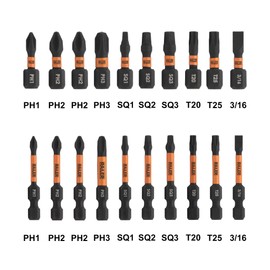 Railer 20pc Screwdriver Bit Set - Premium S2 Steel 1" & 2" Phillips, Robertson Square, Torx & Flat Head Impact Driver Bit Set With A Storage Bit Holder & Carabiner