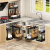 ARSTPEOE Under Sink Organizer - 2 Packs Multi-Purpose Pull-Out Storage