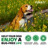 Flea and Tick Prevention for Dogs Chewables - 170 Treats