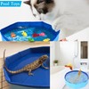 Bearded Dragons Foldable Bathtub with Soft Brush and Towel Set