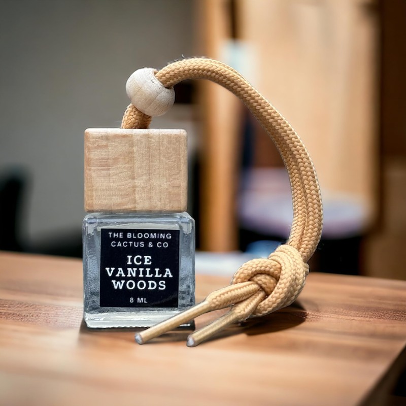 Car Diffuser | Cute car accessory | Scented Car |