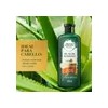 Shampoo Herbal Essences Bio:Renew 6X Aloe & Mango Protege &
