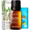 Gya Labs Melissa Essential Oil for Diffuser & Tea Tree