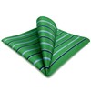 [S&W SHLAX&WING] Men's Striped Pocket Square Kelly Green Blue Stripe