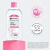 Kit Garnier Skin Active Micelar Todo en 1 700ml +