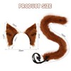 Epokus Plush Cat Ears and Tail Set, Cat Fox Fancy