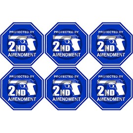 6 Pack 2" Protected by 2nd Amendment Sticker Gun Rights Laws
