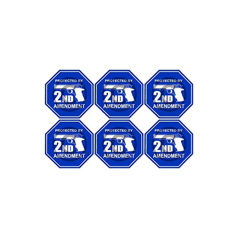 6 Pack 2" Protected by 2nd Amendment Sticker Gun Rights