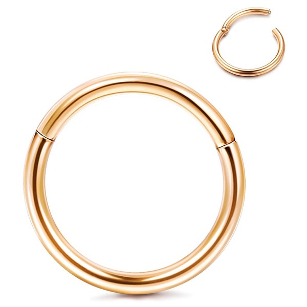 Roheafer Nose Ring Hoop Hypoallergenic G23 Titanium Cartilage Earring Segment