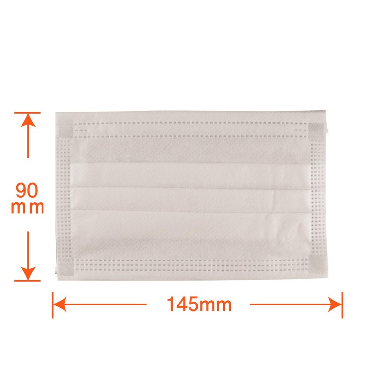 Leader Surgical Masks for Women, Pack of 10