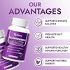 Elderberry - EIvera Gut Support Complex, 3-in-1 Gut Support Complex