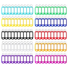 Ailiver Schlüsselanhänger mit beschreibbaren Etiketten, Kunststoff-Schlüsselanhänger mit Schlaufen, 10 Farben austauschbar (100)