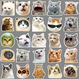 50PCS Meme Cat Stickers,Meme Cat Stickers,Teens Boys and Girls Sticker Pack Vinyl Skateboard Guitar Door Laptop Luggage Car Bike Water Bottle Birthday Party Supplies Stickers