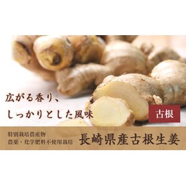 Pikaichi Vegetable Kun Ginger, 3.5 oz (100 g), Ginger Made in Nagasaki Prefecture, Cultivated without Pesticides or Chemical Fertilizers