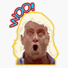 NumbTs- WOO Ric Flair - Legendary wrestling quote old school inspired design Bumper Sticker Vinyl Decal 5 inches
